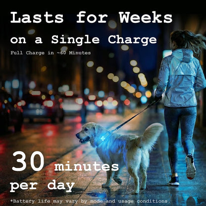 Dog Collar Light, Rechargeable LED Dog Safety Light for Night Walking, Clip-On or Strap-On Pet Light for Collar, Harness and Leash, High Visibility, Water-Resistant, USB-C, Yellow