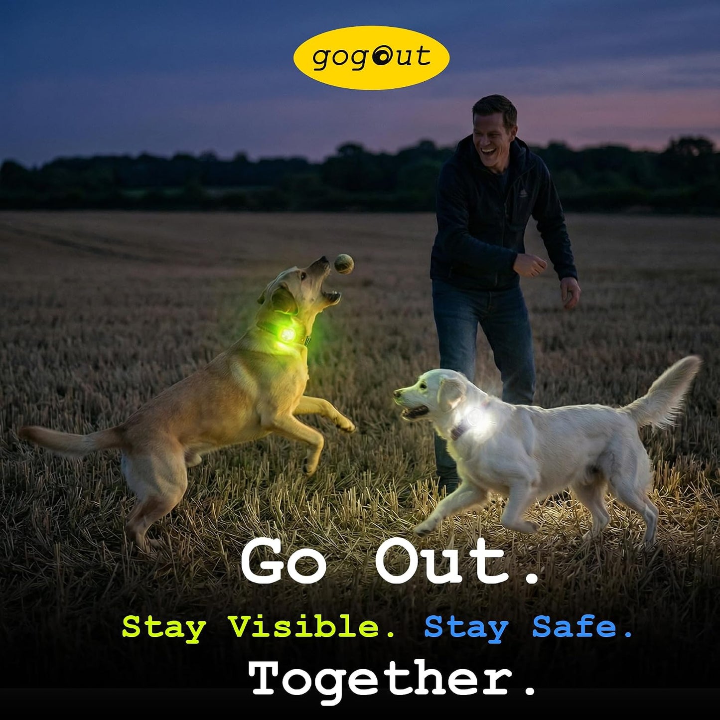 Dog Collar Light, Rechargeable LED Dog Safety Light for Night Walking, Clip-On or Strap-On Pet Light for Collar, Harness and Leash, High Visibility, Water-Resistant, USB-C, Yellow