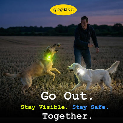 Dog Collar Light, Rechargeable LED Dog Safety Light for Night Walking, Clip-On or Strap-On Pet Light for Collar, Harness and Leash, High Visibility, Water-Resistant, USB-C, Yellow