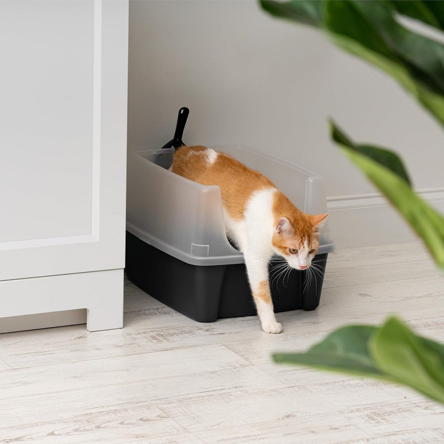 Large High Sided Cat Litter Box, Scatter Shield | High Kickers, Kick-Proof Sides, Extra Deep Pan, Raised Edge Protection, Keeps Floor Clean, Easy Daily Scoop