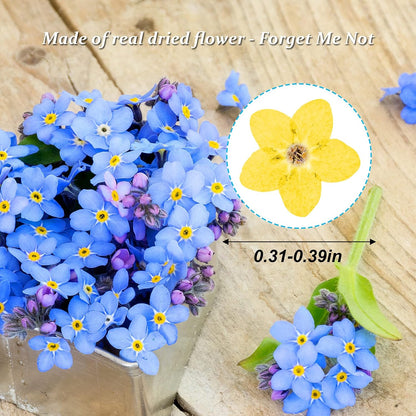 Dried Forget Me Not Flowers, 60PCS Yellow, Natural, DIY Craft, Resin Jewelry, Candle, Card Making, Nail Art, Flower Ornaments