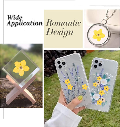 Dried Forget Me Not Flowers, 60PCS Yellow, Natural, DIY Craft, Resin Jewelry, Candle, Card Making, Nail Art, Flower Ornaments