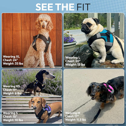 Soft Mesh X Step-in Dog Harness, Choke-Free, Yellow, Medium | Patented choke-free X-frame + deep V-neck; Adjustable Velcro fit; Thick breathable padded mesh; Easy step-in; Flat O-ring