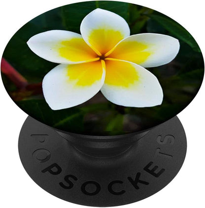 Hawaii Hawaiian Flower Hibiscus Flower Plumeria White PopSockets Swappable PopGrip
