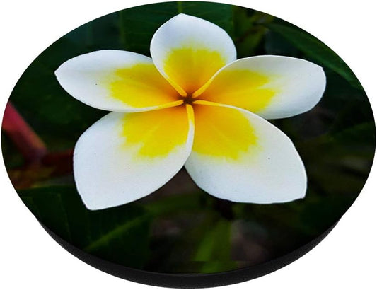 Hawaii Hawaiian Flower Hibiscus Flower Plumeria White PopSockets Swappable PopGrip