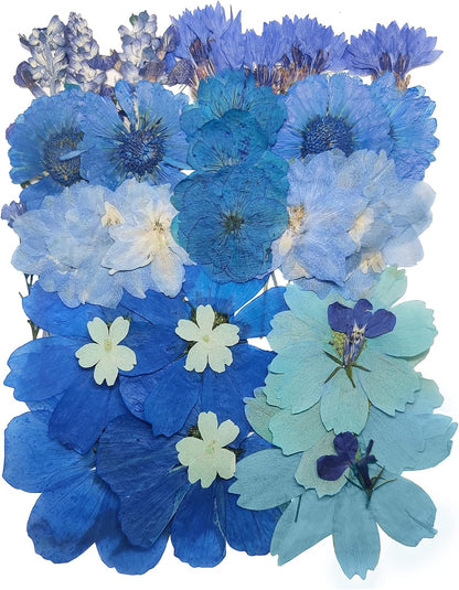 10 Types 33PCS Large Blue Dried Pressed Flower for Crafts, Large Big Real Nature Dry Pressed Flowers for Resin Molds Candle Making Phone Cases DIY Art Crafts Jewelry Making