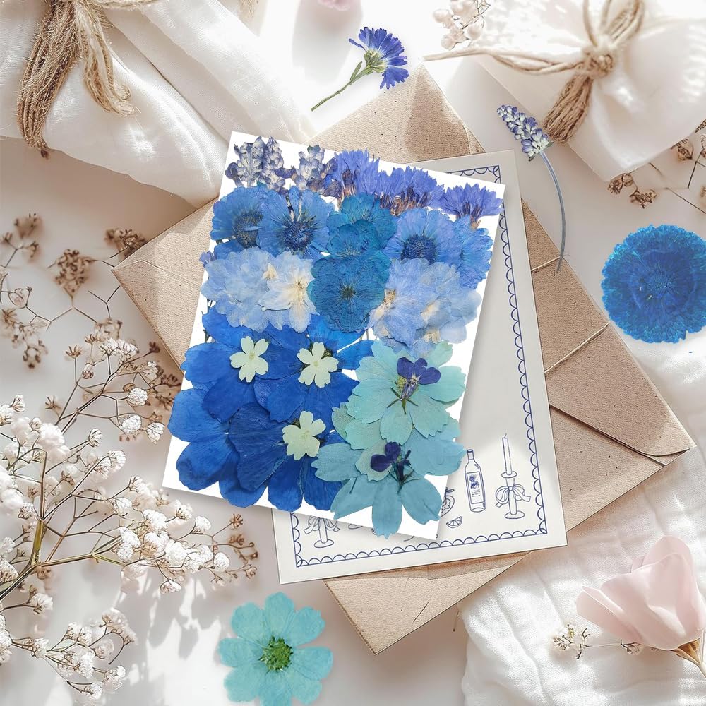 10 Types 33PCS Large Blue Dried Pressed Flower for Crafts, Large Big Real Nature Dry Pressed Flowers for Resin Molds Candle Making Phone Cases DIY Art Crafts Jewelry Making