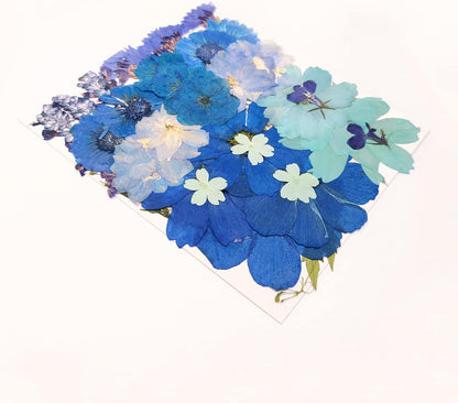 10 Types 33PCS Large Blue Dried Pressed Flower for Crafts, Large Big Real Nature Dry Pressed Flowers for Resin Molds Candle Making Phone Cases DIY Art Crafts Jewelry Making
