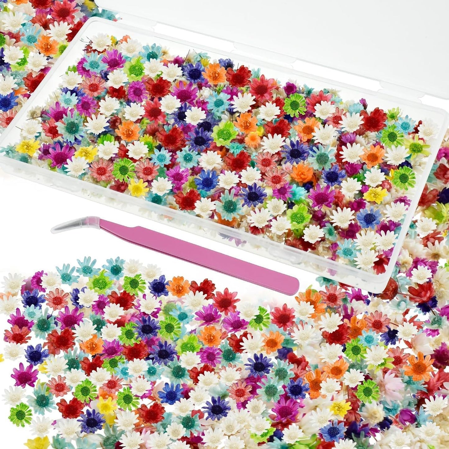 800 PCS Mini Dried Flowers for Resin, Include Tweezers, Small Tiny Flower | Natural Real Dried Pressed Art Bulk for Crafts Resin Nails, DIY Epoxy Earrings Jewelry Crafts, Soap Candles Making