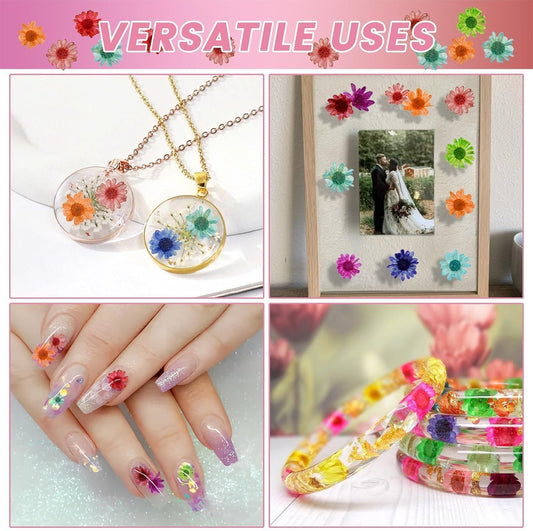 800 PCS Mini Dried Flowers for Resin, Include Tweezers, Small Tiny Flower | Natural Real Dried Pressed Art Bulk for Crafts Resin Nails, DIY Epoxy Earrings Jewelry Crafts, Soap Candles Making