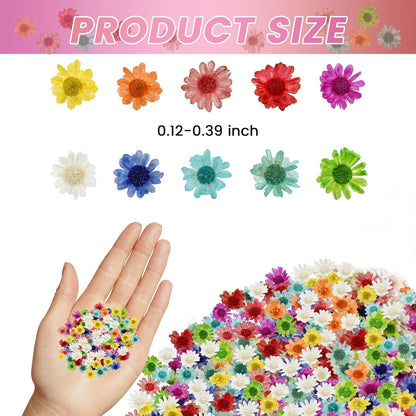 800 PCS Mini Dried Flowers for Resin, Include Tweezers, Small Tiny Flower | Natural Real Dried Pressed Art Bulk for Crafts Resin Nails, DIY Epoxy Earrings Jewelry Crafts, Soap Candles Making