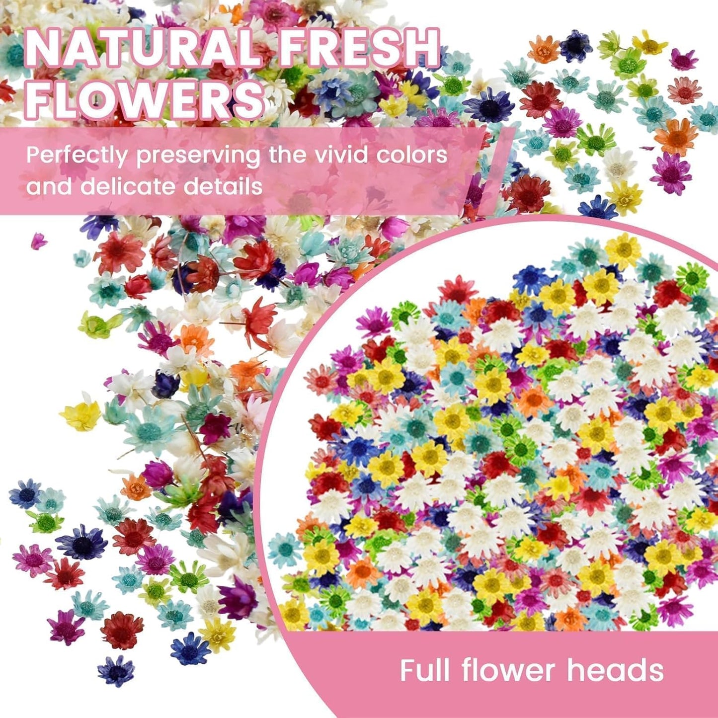 800 PCS Mini Dried Flowers for Resin, Include Tweezers, Small Tiny Flower | Natural Real Dried Pressed Art Bulk for Crafts Resin Nails, DIY Epoxy Earrings Jewelry Crafts, Soap Candles Making