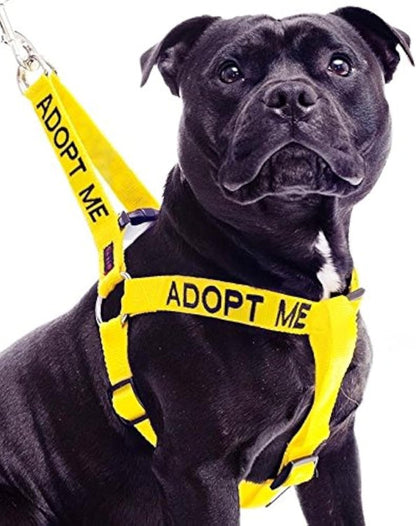 ADOPT ME Yellow Color Coded L-XL Non-Pull Dog Harness (New Home Needed) Donate To Your Local charity