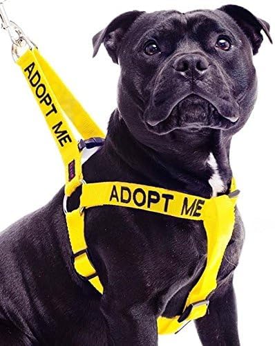 ADOPT ME Yellow Color Coded L-XL Non-Pull Dog Harness (New Home Needed) Donate To Your Local charity