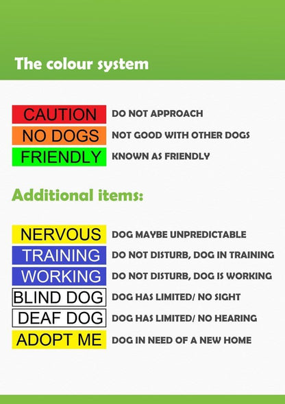 ADOPT ME Yellow Color Coded L-XL Non-Pull Dog Harness (New Home Needed) Donate To Your Local charity