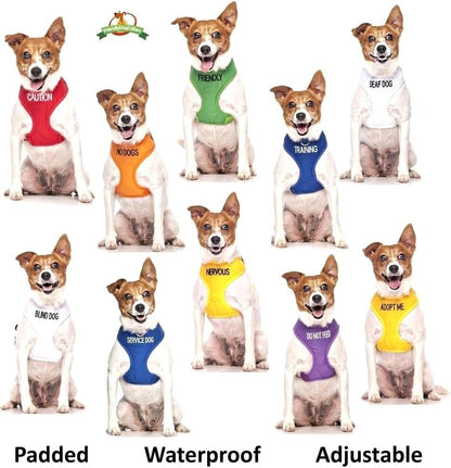 ADOPT ME Yellow Color Coded L-XL Non-Pull Dog Harness (New Home Needed) Donate To Your Local charity