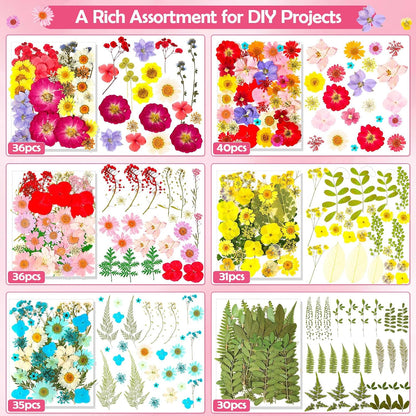481 PCS Pressed Flowers for Crafts, Real Dried Pressed Flowers Nature Dry Flower Leaves Bulk for Resin Jewelry Making Scrapbooking Candle Soap Making Nails Frame Décor