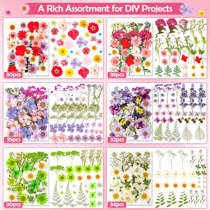 481 PCS Pressed Flowers for Crafts, Real Dried Pressed Flowers Nature Dry Flower Leaves Bulk for Resin Jewelry Making Scrapbooking Candle Soap Making Nails Frame Décor
