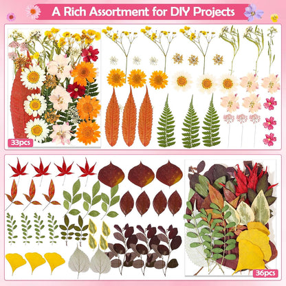 481 PCS Pressed Flowers for Crafts, Real Dried Pressed Flowers Nature Dry Flower Leaves Bulk for Resin Jewelry Making Scrapbooking Candle Soap Making Nails Frame Décor