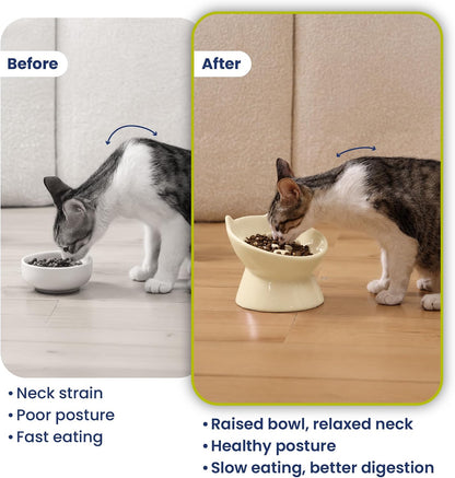 Lynx Ceramic Raised Slow Dog & Cat Elevated Food Bowl, Daisy Yellow | Tilted 15° Elevated Pet Food Bowl, Whisker-Friendly, Anti-Choking Dish, Dishwasher Safe, Nonslip, Food Grade Material