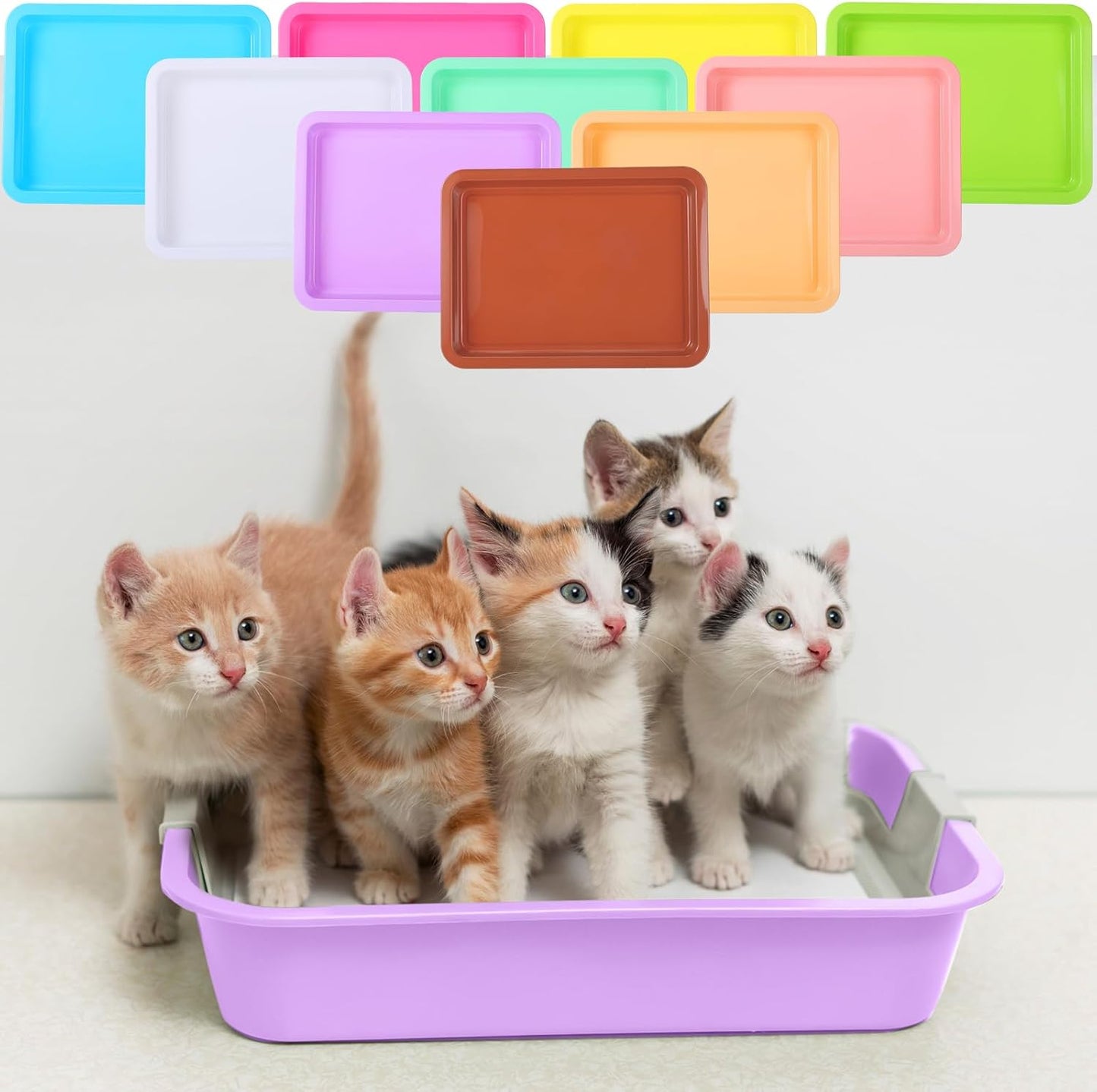10 Pcs Small Litter Box for Kittens 9.65"*7.28''*0.98'' Plastic Portable Small Cat Litter Pan Low Entry Kitten Tray Waterproof Travel Toilet Bunny Supplies(Colorful)