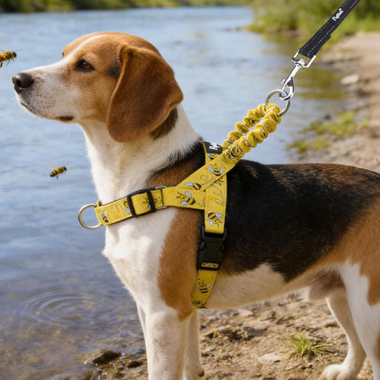 No Pull Dog Harness Small Sized Dog, Adjustable Reflective Pet Vest Harness with Bungee Handle, Escape Proof No Choke Harness for Small Dogs Walking Training, Yellow Bee M