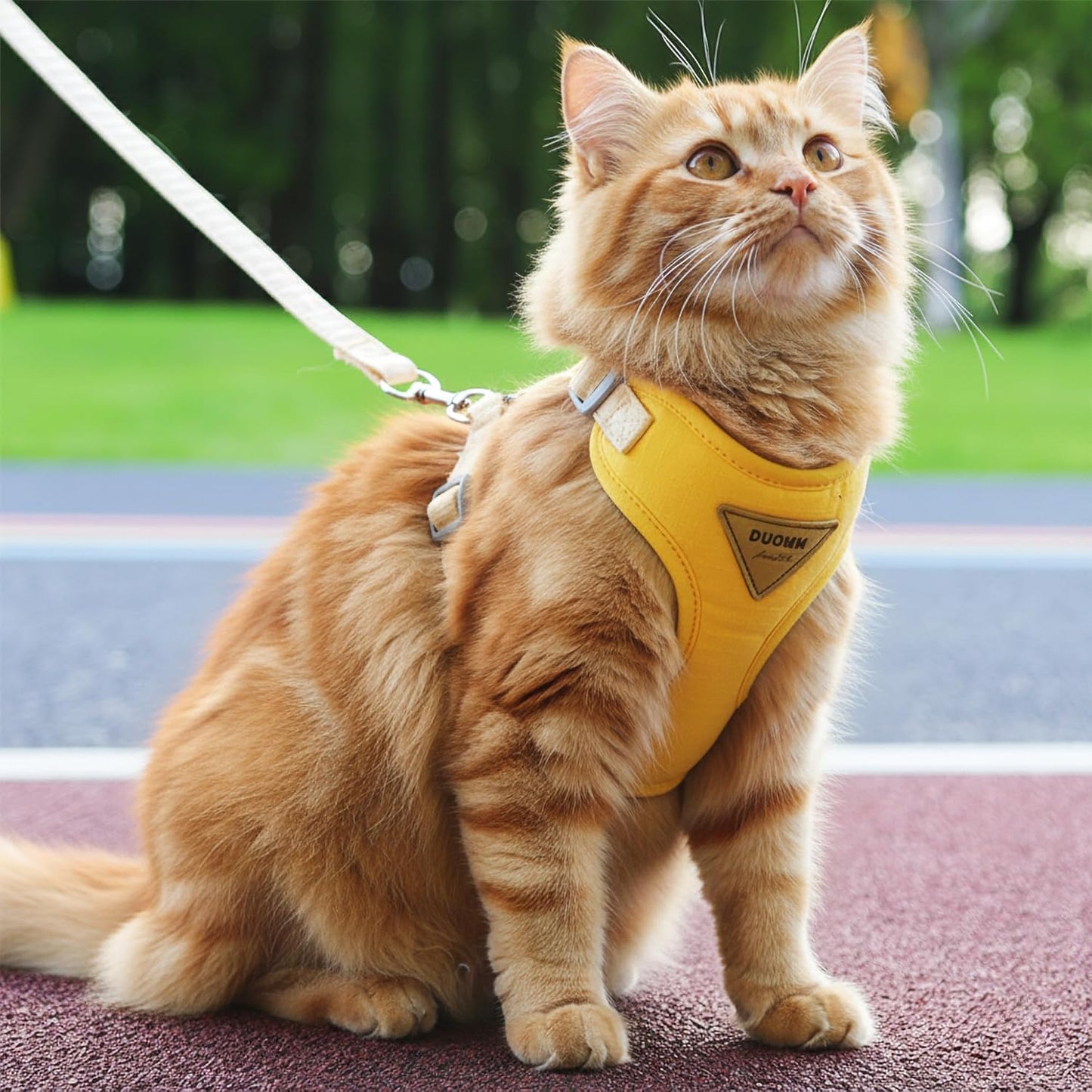 Escape-Proof Cat Harness and Leash Set - Adjustable and Comfortable - Ideal for Walking Cat Outdoors - Fits Small Dogs, Kittens, Medium, and Large Cats (Yellow, S)