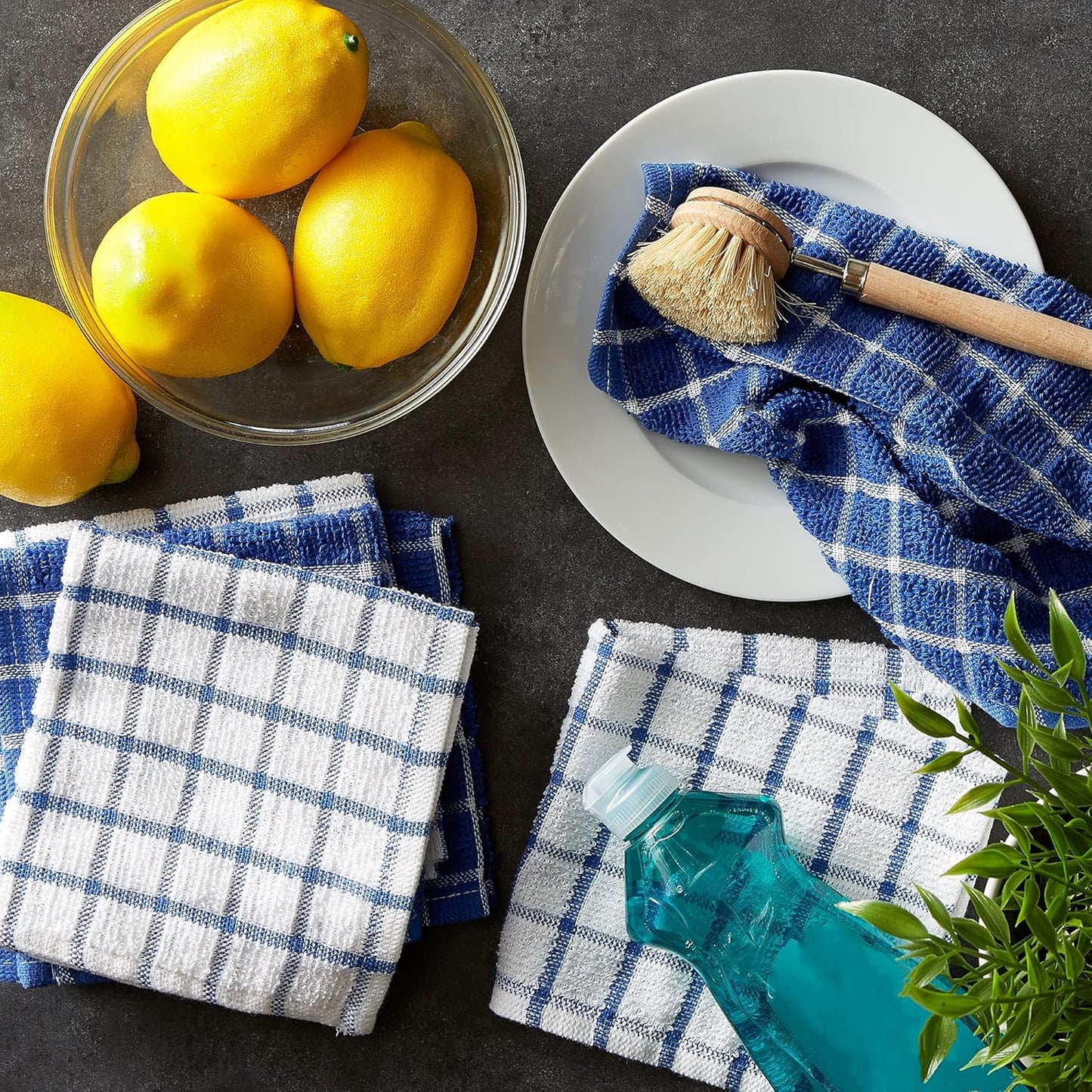 Basic Terry Collection Windowpane Dishcloth Set, 12x12, Yellow, 6 Piece