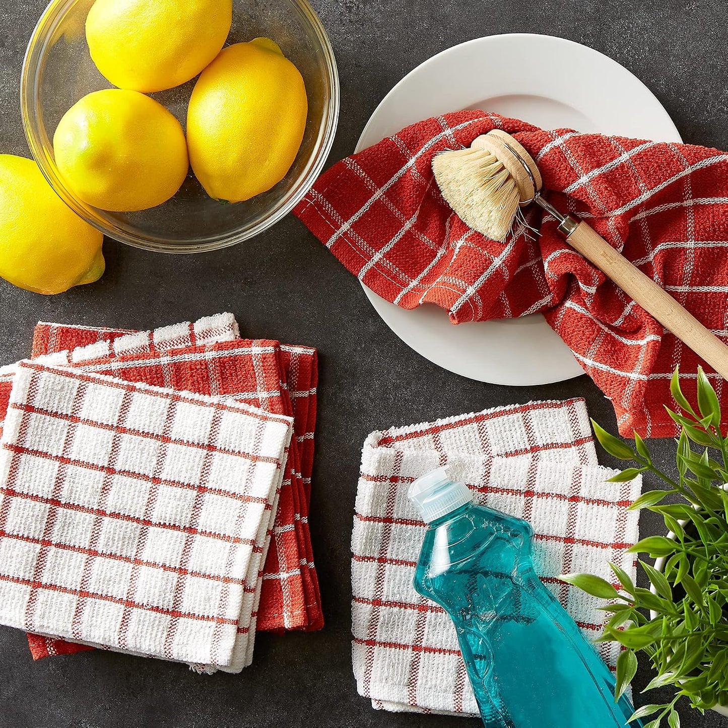 Basic Terry Collection Windowpane Dishcloth Set, 12x12, Yellow, 6 Piece