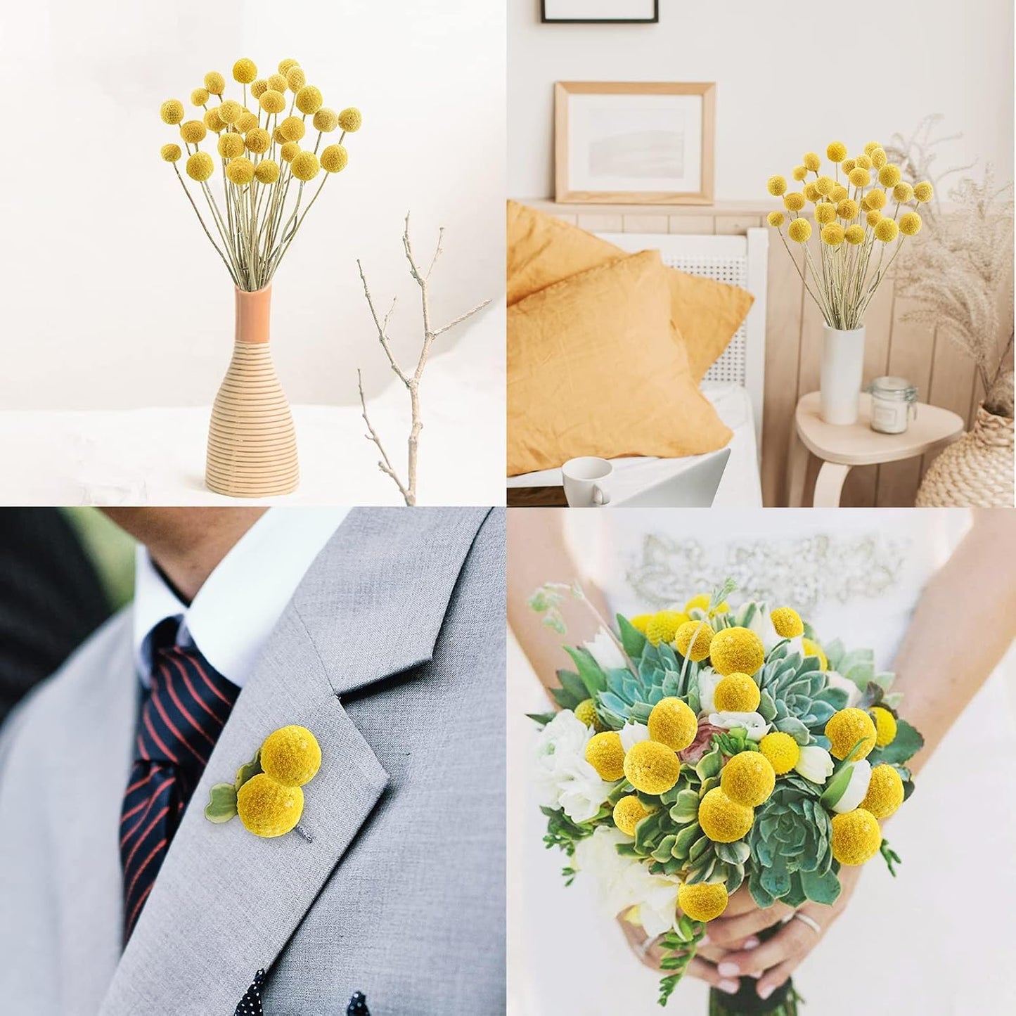 30Pcs Natural Dried Flowers Craspedia Billy Balls Flowers Billy Buttons Floral Bouquet for Flower Arrangements Wedding Home Tall Vase Decor Yellow