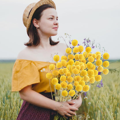 30Pcs Natural Dried Flowers Craspedia Billy Balls Flowers Billy Buttons Floral Bouquet for Flower Arrangements Wedding Home Tall Vase Decor Yellow