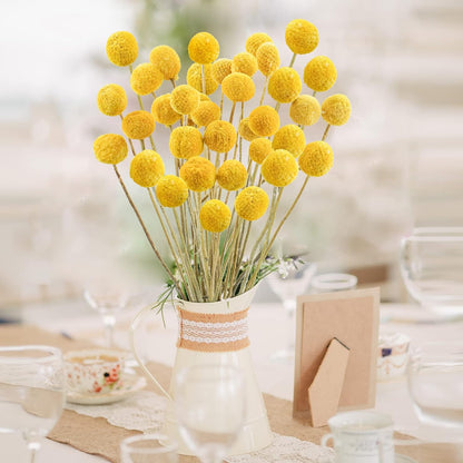 30Pcs Natural Dried Flowers Craspedia Billy Balls Flowers Billy Buttons Floral Bouquet for Flower Arrangements Wedding Home Tall Vase Decor Yellow