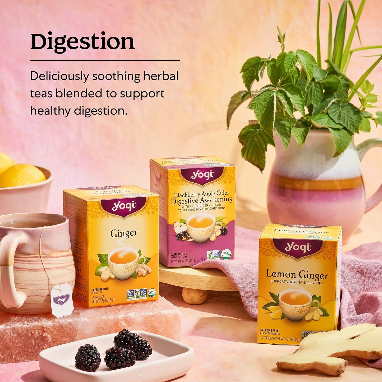 Tea Lemon Ginger - 16 Bags per Pack (4 Packs) - Organic Ginger Root Tea to Support Healthy Digestion - Includes Lemongrass, Lemon Flavor, Licorice Root, Lemon Peel & More