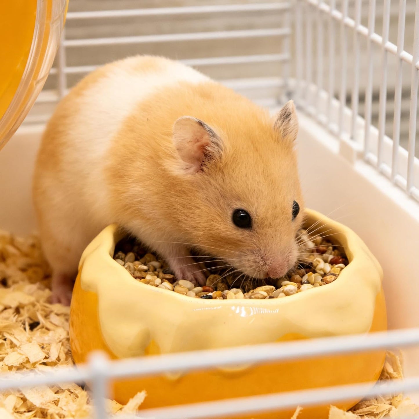 Ceramic Pudding Hamster Food Bowl Feeding Dish Water Bow for Guinea Pig Hedgehog Small Animal(Yellow)