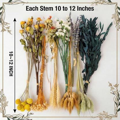 10 Kinds Vintage Dried Flowers Bouquet, 128 Stems | Vintage rustic boho, lavender eucalyptus bunny tails, 10-12 inch, for home wedding centerpiece, naturally preserved