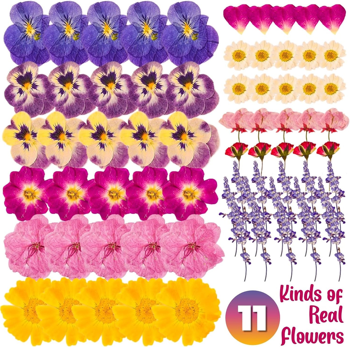 70-Piece Edible Pressed Flowers, 11-Kind Cake Topper and Cocktail Mix | Food-grade Flowers, viola, rose, lavender, sakura, calendula and daisy for cocktails, desserts, garnishes and crafts.