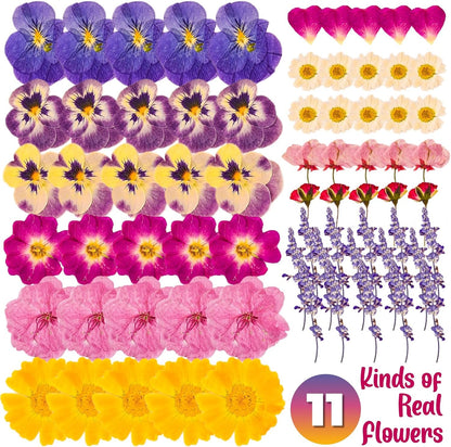 70-Piece Edible Pressed Flowers, 11-Kind Cake Topper and Cocktail Mix | Food-grade Flowers, viola, rose, lavender, sakura, calendula and daisy for cocktails, desserts, garnishes and crafts.