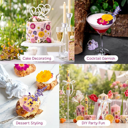 70-Piece Edible Pressed Flowers, 11-Kind Cake Topper and Cocktail Mix | Food-grade Flowers, viola, rose, lavender, sakura, calendula and daisy for cocktails, desserts, garnishes and crafts.