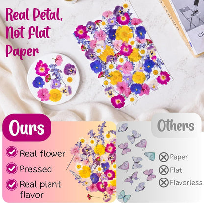 70-Piece Edible Pressed Flowers, 11-Kind Cake Topper and Cocktail Mix | Food-grade Flowers, viola, rose, lavender, sakura, calendula and daisy for cocktails, desserts, garnishes and crafts.