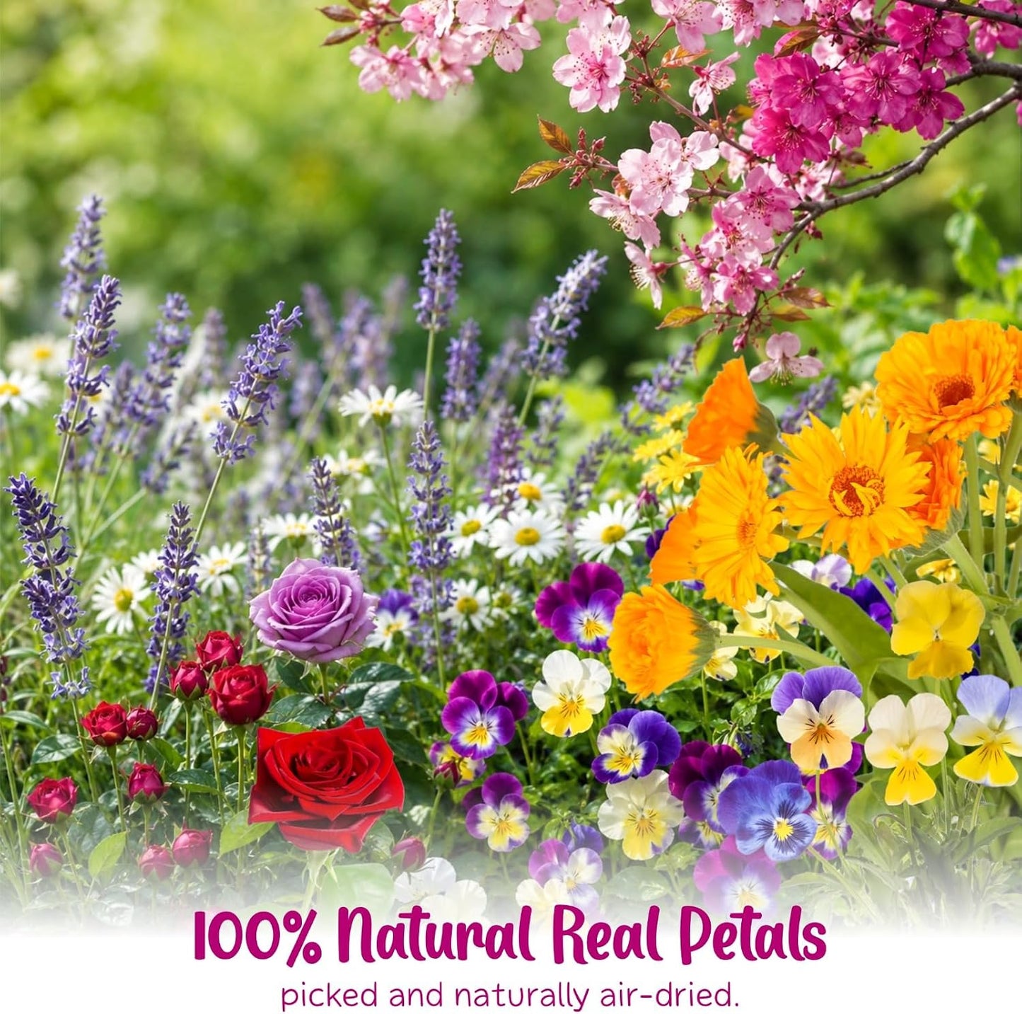 70-Piece Edible Pressed Flowers, 11-Kind Cake Topper and Cocktail Mix | Food-grade Flowers, viola, rose, lavender, sakura, calendula and daisy for cocktails, desserts, garnishes and crafts.