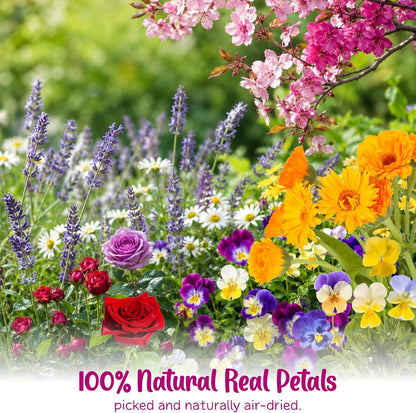70-Piece Edible Pressed Flowers, 11-Kind Cake Topper and Cocktail Mix | Food-grade Flowers, viola, rose, lavender, sakura, calendula and daisy for cocktails, desserts, garnishes and crafts.