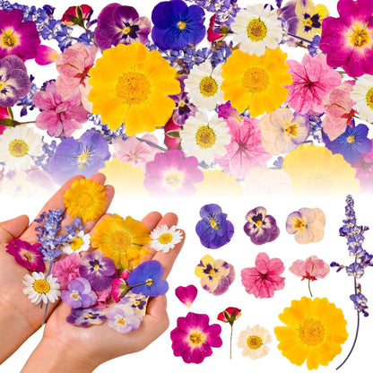 70-Piece Edible Pressed Flowers, 11-Kind Cake Topper and Cocktail Mix | Food-grade Flowers, viola, rose, lavender, sakura, calendula and daisy for cocktails, desserts, garnishes and crafts.