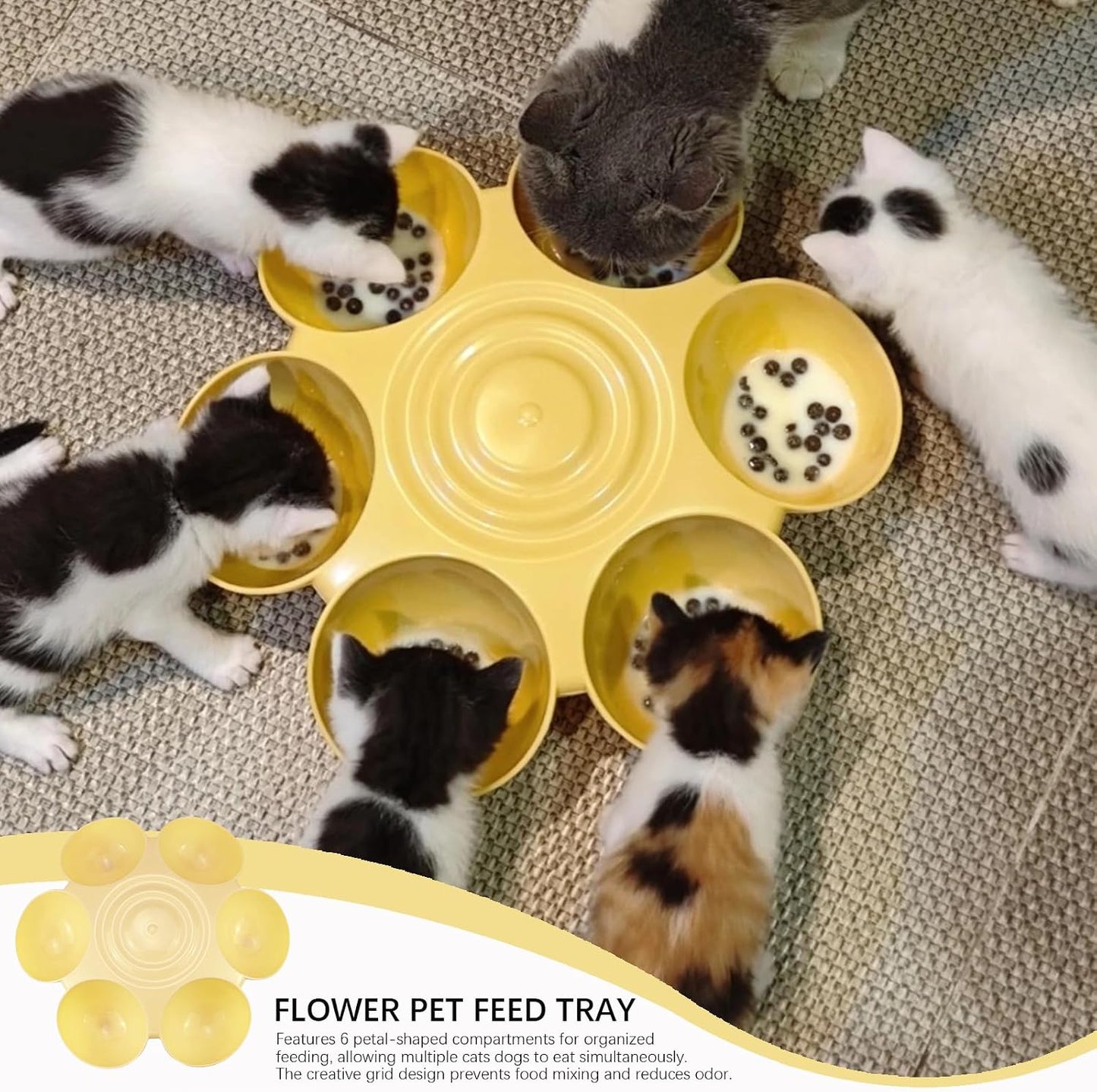 DOERDO Cat Feeding Bowl, Plastic Cat and Dog Food Bowl with 6 Bowls, Multiple Pet Dinner Feeder for Indoor Food and Water, Yellow