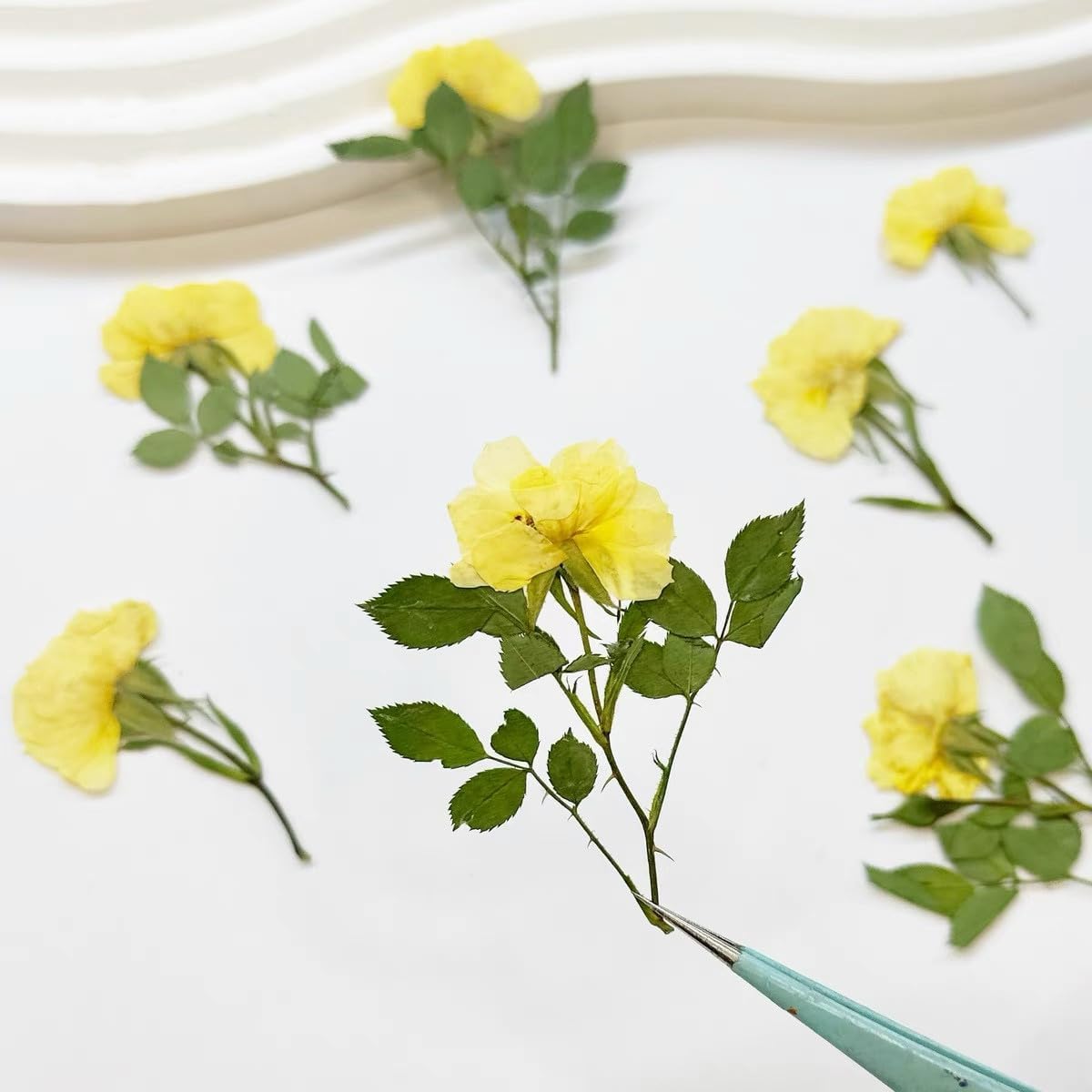 12 Pcs Nauture Pressed Rose, Real Dried Pressed Flowers for Resin Scrapbook Supplies Card Making Soap Candle DIY Art Crafts (Yellow)