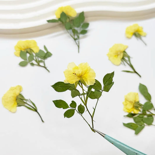 12 Pcs Nauture Pressed Rose, Real Dried Pressed Flowers for Resin Scrapbook Supplies Card Making Soap Candle DIY Art Crafts (Yellow)