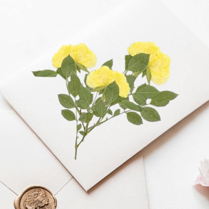 12 Pcs Nauture Pressed Rose, Real Dried Pressed Flowers for Resin Scrapbook Supplies Card Making Soap Candle DIY Art Crafts (Yellow)