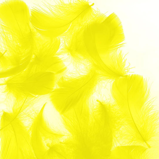 Yellow 600pcs Colorful Feathers 20 Colors Craft Feathers 3-5 Inches Assorted Rainbow Colors Feathers for Kids Handmade Wedding DIY Decorations Natural Feather
