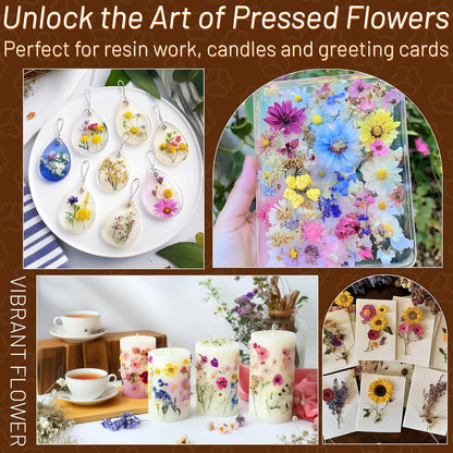 Dried Pressed Flowers for Resin, Real Pressed Flowers Dry Leaves Bulk Natural Herbs Kit for Scrapbooking DIY Art Crafts Epoxy Resin Jewelry Mold Candle Soap Making Nails Décor (Natrual Floral Leaves)