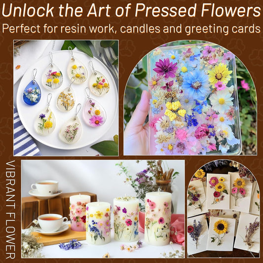 Dried Pressed Flowers for Resin, Real Pressed Flowers Dry Leaves Bulk Natural Herbs Kit for Scrapbooking DIY Art Crafts Epoxy Resin Jewelry Mold Candle Soap Making Nails Décor (Natrual Floral Leaves)