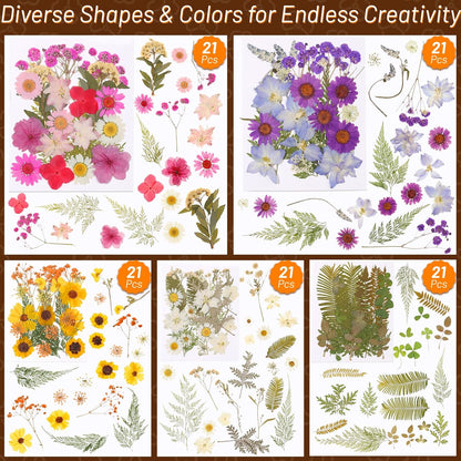 Dried Pressed Flowers for Resin, Real Pressed Flowers Dry Leaves Bulk Natural Herbs Kit for Scrapbooking DIY Art Crafts Epoxy Resin Jewelry Mold Candle Soap Making Nails Décor (Natrual Floral Leaves)